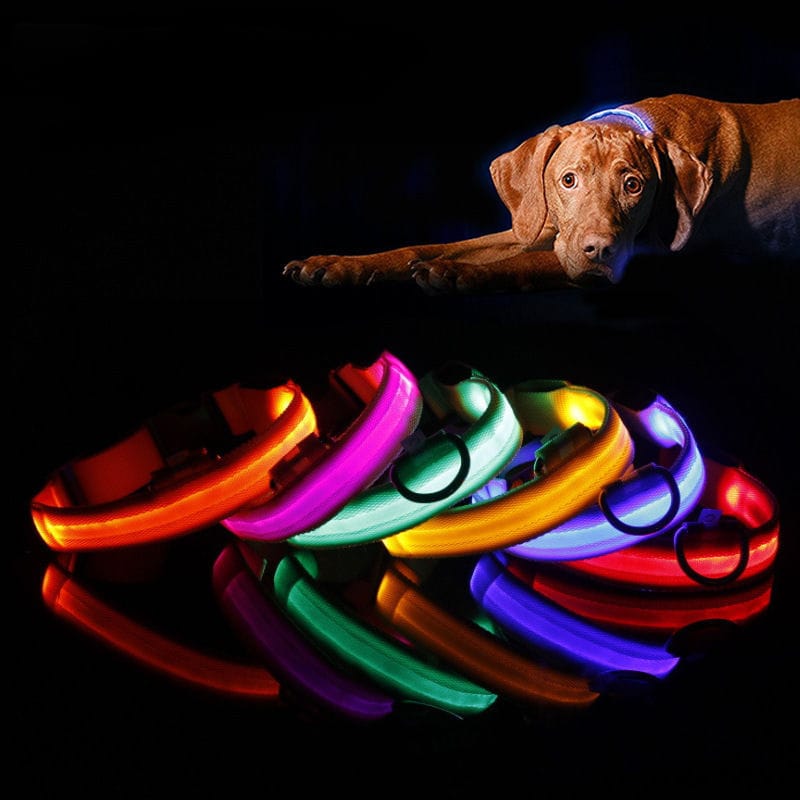 Ilumine la luz del collar de perro para el clip nocturno en el collar de  perro LED, brillante y alta Adepaton Correas y Collares para Perros