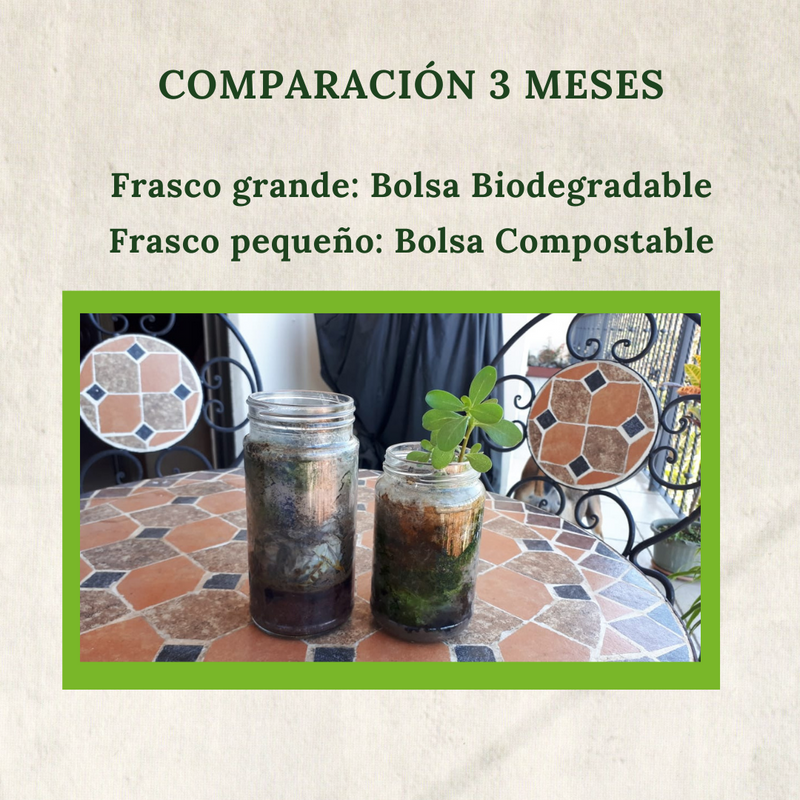 Experimento: Bolsa Compostable Vs Biodegradable