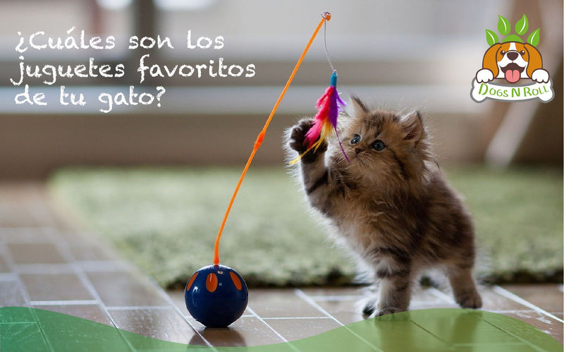 ¿Cuáles son los  juguetes favoritos de tu gato? - Dogs N Roll - ¿Cuáles son los  juguetes favoritos de tu gato? - 
