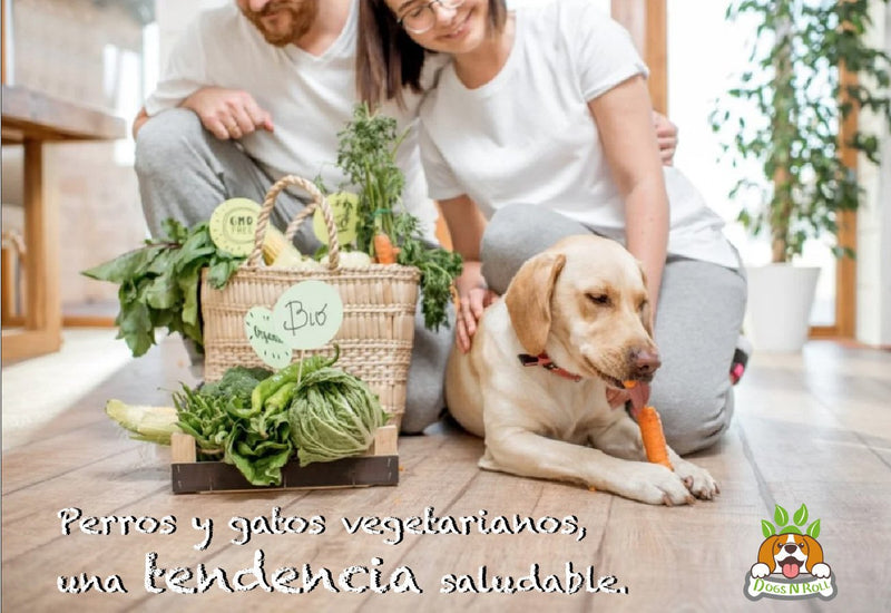 Perros y gatos vegetarianos, una tendencia saludable - Dogs N Roll - Perros y gatos vegetarianos, una tendencia saludable - 