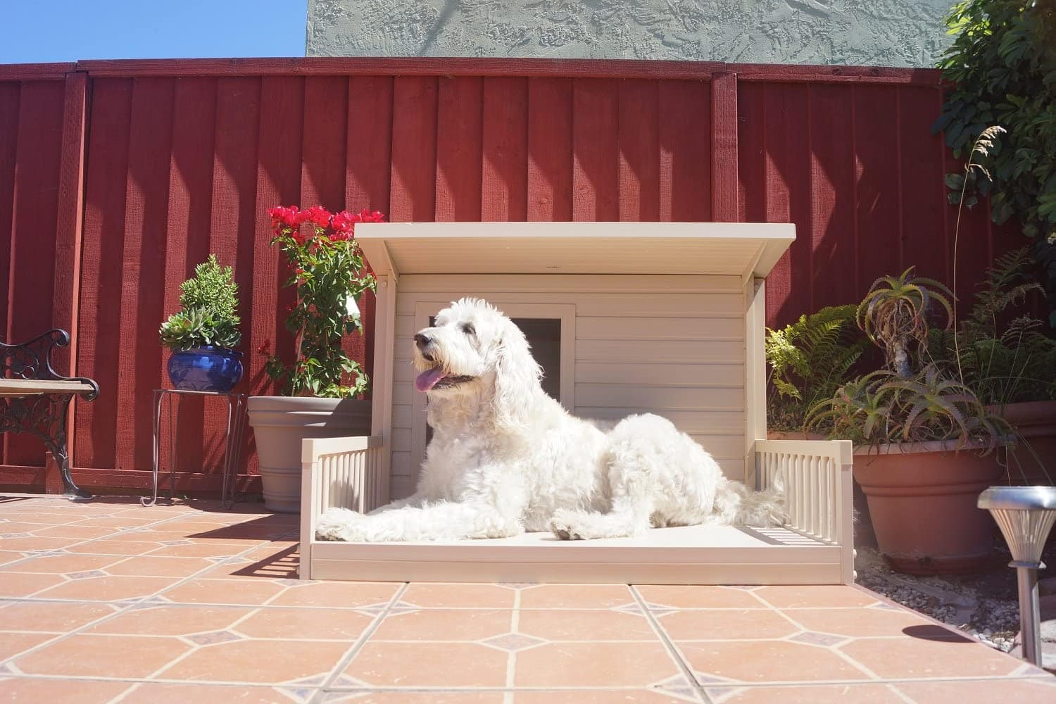 Casas para perros estilo Rustic Lodge – Dogs N Roll