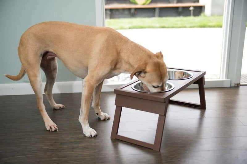 Mesa plegable para comida de perros HiLo - Dogs N Roll