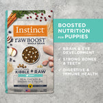 Alimento Seco para Perro -  Raw Boost Whole Grain Fórmula de Cachorro